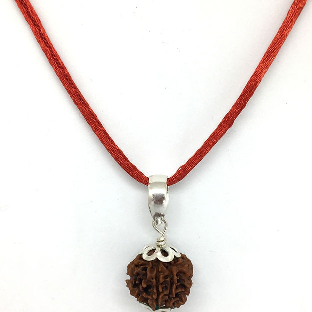 7 Mukhi Nepali Rudraksh (original)