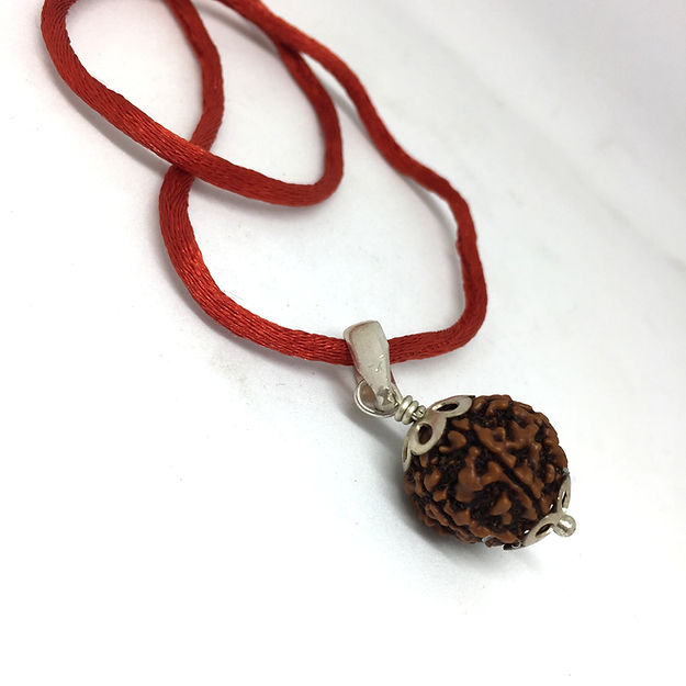 7 Mukhi Nepali Rudraksh (original)