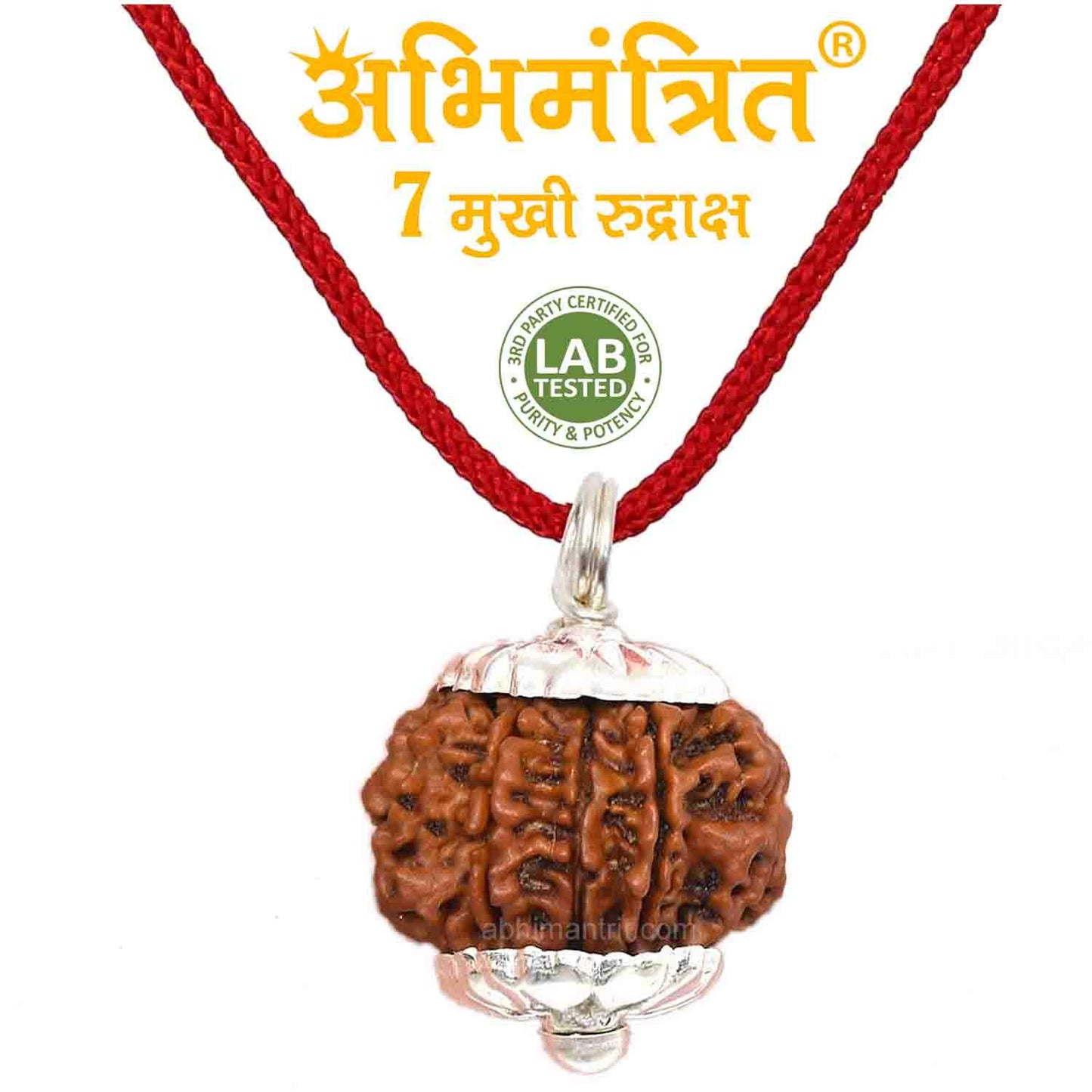 7 Mukhi Nepali Rudraksh (original)
