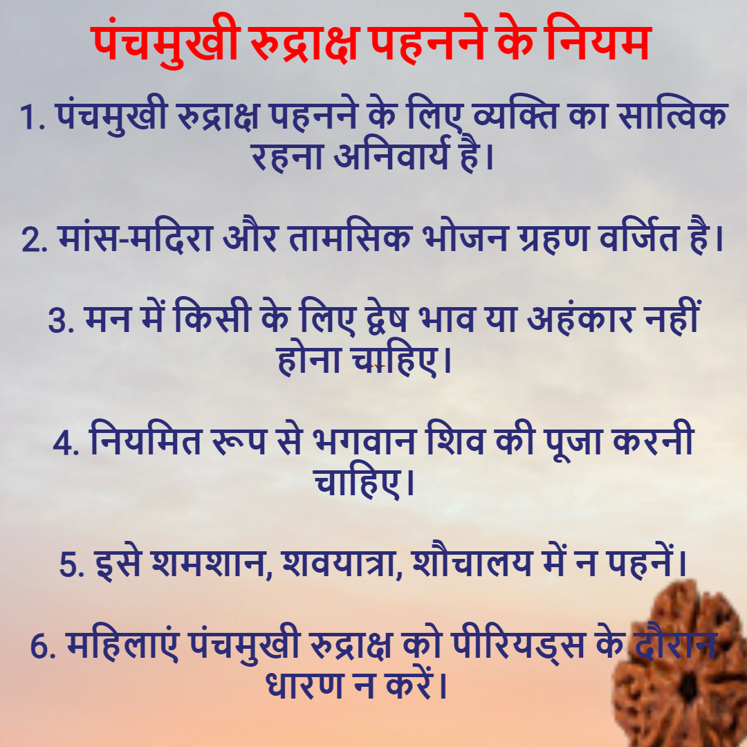 5 Mukhi Rudraksha