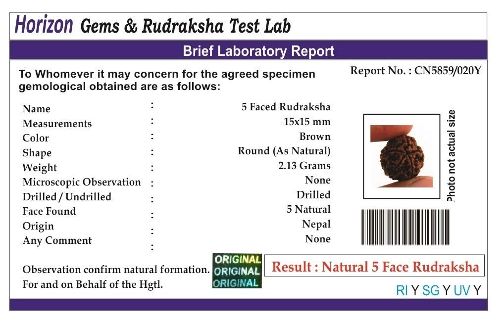 5 Mukhi Rudraksha